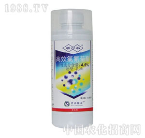 ���r(n��ng)(li��n)��-�������