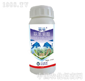 ���r(n��ng)(li��n)��-(li��n)������