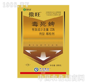 ���r(n��ng)(li��n)��-����