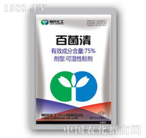 ����-75%�پ���