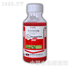 �Z����-ԭ�t��