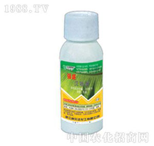 �����_(d��)-��(qi��ng)ʢ