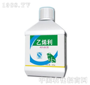 �G�I(y��)Ԫ-��ϩ��