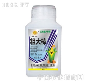 �f���޻�-�ִ��