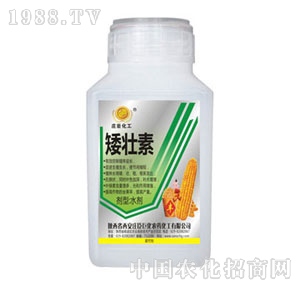 �f���޻�-������