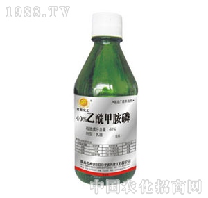 �f���޻�-40%�����װ���