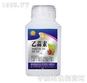 �f���޻�-80%������