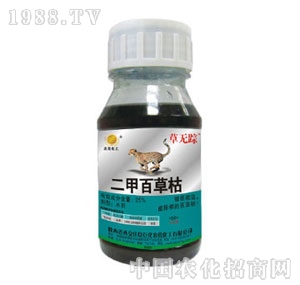 �f���޻�-�ݟoۙ