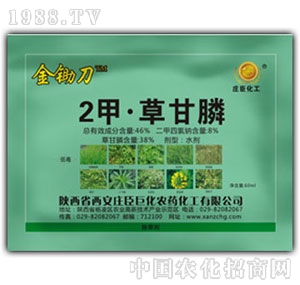 �f���޻�-���ײݸ��