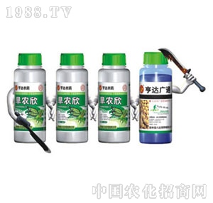 ���_(d��)-�ǳ�3+1