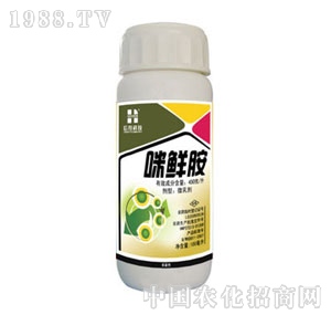 ̩�Z-���r��