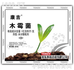 ̩�Z-����ľù��