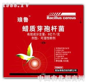 ̩�Z-�����D�|(zh��)ѿ�ߗU��