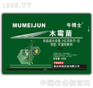 ̩�Z-ţ��ʿľù��