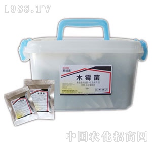 ̩�Z-�R��˼ľù��