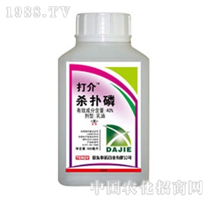 ̩�Z-��隢����