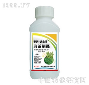 ̩�Z-���x��