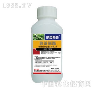 ̩�Z-���`˹�D