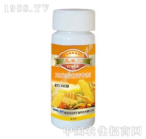 ̩�Z-���ט�(l��)