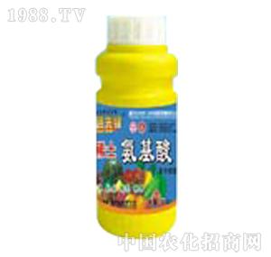 ̽·���h-ϡ��������