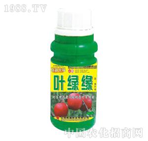 ̽·���h-�~�G��