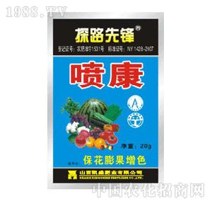 ̽·���h-�������������ɫ