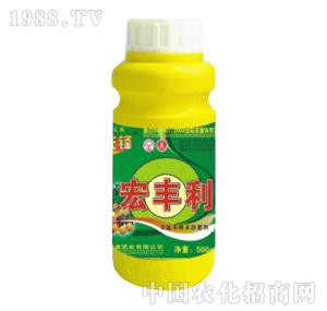 ̽·���h-���S��