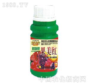 ̽·���h-�����t���������O�������t����