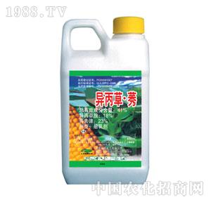 �G���-��ݬ