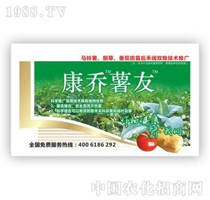 ����-��������