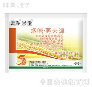 ����-���У��㸽���ͣ�