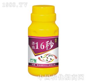 ���Z��-���x16��