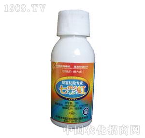 �²�����-�߲ʺ�