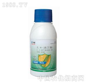 �A��-80%2��4���ζ���EC