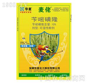 �A��-10%�S�׻�¡WP�����У�