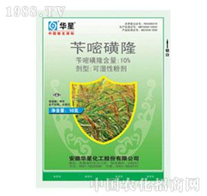 �A��-10%�S�׻�¡WP