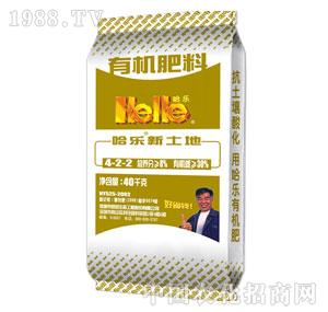 ����-����������