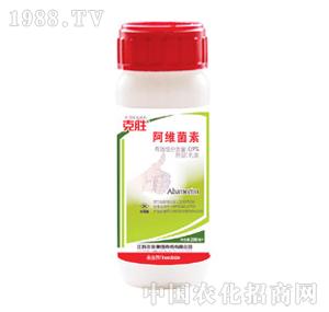 �˄�-���S����(¡�S��)