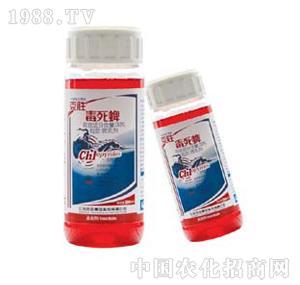 �˄�-�����磨�煲����