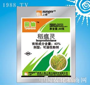 �ϸ�֮·-�����`