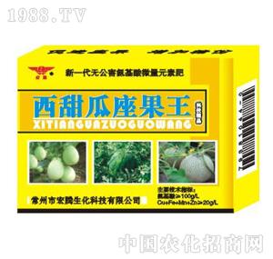 ���v����-�����������