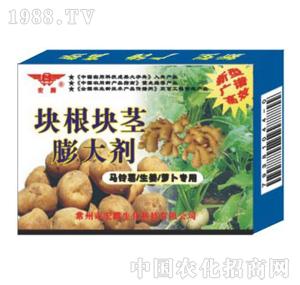 ���v����-�������