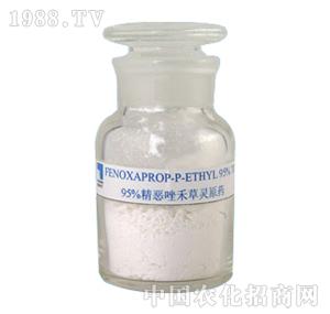 ��������-���f��̲��`ԭˎ