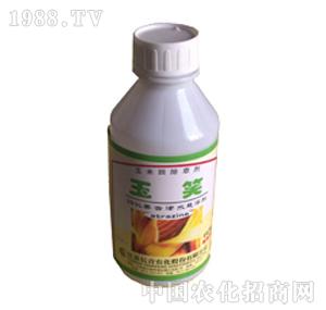 �L(zh��ng)���r(n��ng)��-��Ц