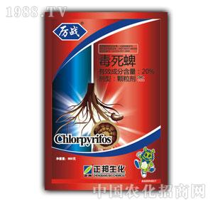 ����F(tu��n)-����(zh��n)