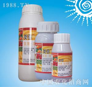 �ϸ�֮·-�W�J��522.5�����趾��