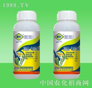 �G������-5%���ȷ��������