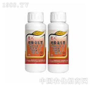 ���ʿ�-����ͪ������