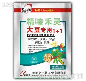 ���ʿ�-��୺��`���(zhu��n)��1+1