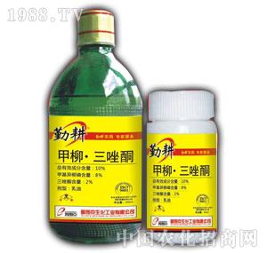 ���ʿ�-10%����ͪ����